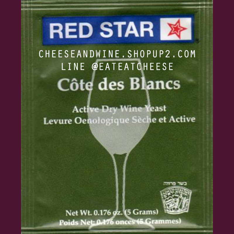 à¸¢à¸µà¸ªà¸à¹ RED STAR Cote des Blancs à¸à¸­à¸à¸ªà¸µà¹à¸à¸µà¸¢à¸§